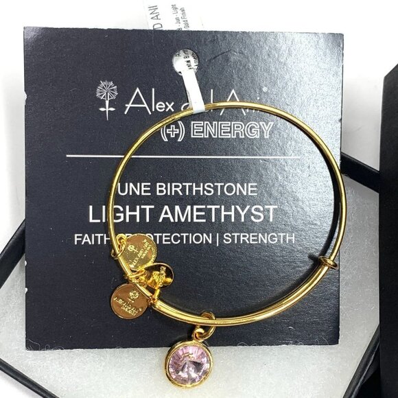 Alex and Ani Light Amethyst June Birthstone Charm Bracelet Yellow Gold Finish - Picture 1 of 5